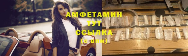 ПСИЛОЦИБИНОВЫЕ ГРИБЫ Алзамай