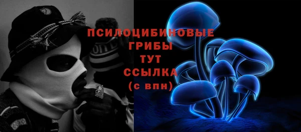 apvp Алексин