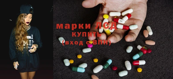 ПСИЛОЦИБИНОВЫЕ ГРИБЫ Алзамай