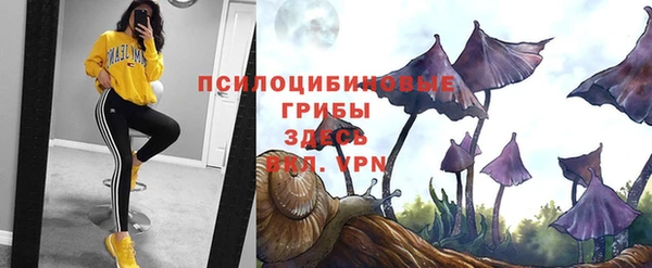 ПСИЛОЦИБИНОВЫЕ ГРИБЫ Алзамай