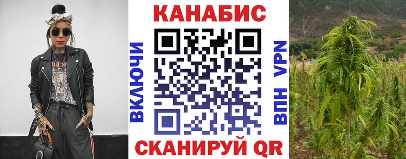 ОМГ ОМГ онион  Новодвинск  Шишки марихуана сатива 